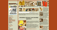 Desktop Screenshot of inkubatory.net